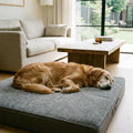 Orthopedic Memory Foam Dog Bed - Joint Relief & Luxury Comfort