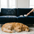 ChomChom Roller Pet Hair Remover for Furniture & Couch - Reusable Tool