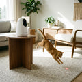Automatic Interactive Laser Cat Toy - Smart 360 Degree Random Rotation Toy