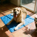 Pressure-Activated Pet Cooling Mat - Instant Heat Relief for Summer