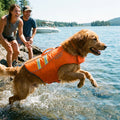 Safety Dog Life Jacket - High Visibility Ripstop Swim Vest